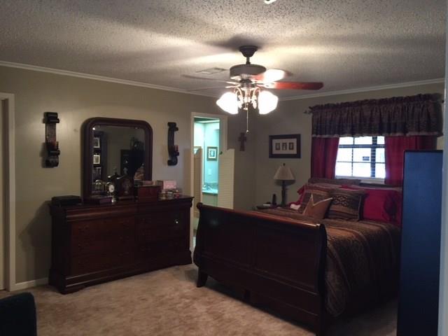 273 Peavy Road Trout, LA 71371 - Photo 12 of 25 Gallery Image 12