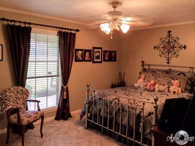 273 Peavy Road Trout, LA 71371 - Photo 17 of 25 Gallery Image 17