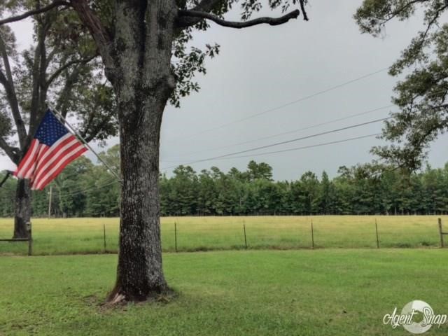 273 Peavy Road Trout, LA 71371 - Photo 20 of 25 Gallery Image 20