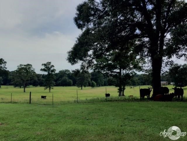 273 Peavy Road Trout, LA 71371 - Photo 21 of 25 Gallery Image 21