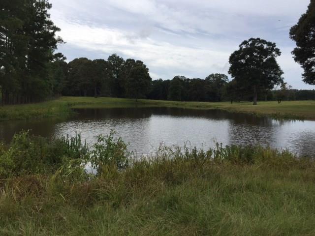 273 Peavy Road Trout, LA 71371 - Photo 22 of 25 Gallery Image 22