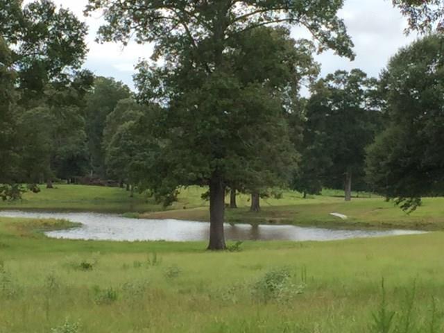 273 Peavy Road Trout, LA 71371 - Photo 23 of 25 Gallery Image 23