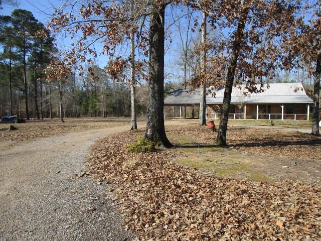 658 Highway 113 Glenmora, LA 71433 - Photo 4 of 19