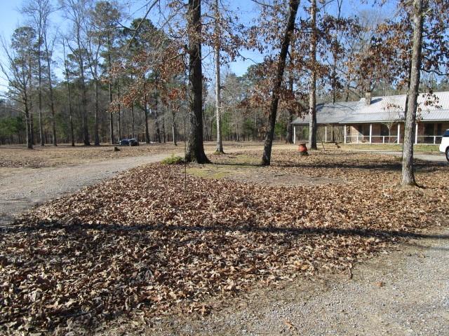 658 Highway 113 Glenmora, LA 71433 - Photo 6 of 19