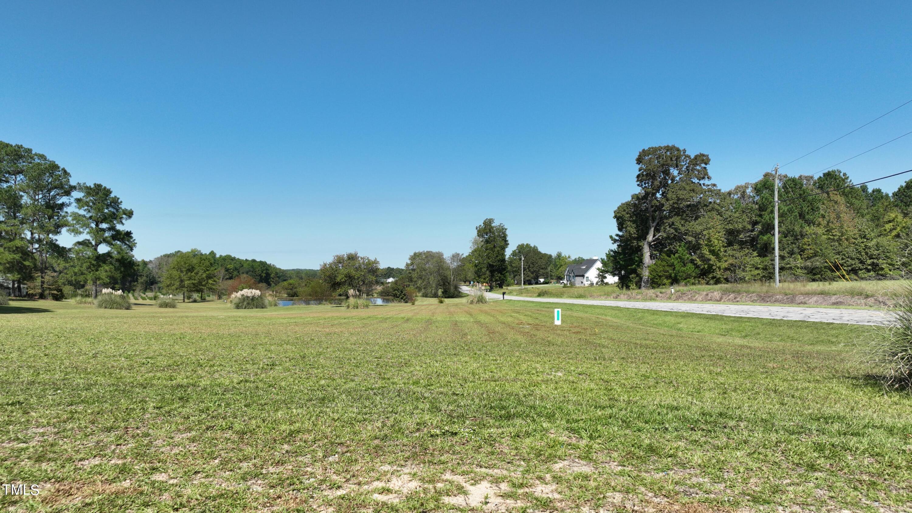 0 Old Stage Road North Angier, NC 27501 - Photo 8 of 10 8
