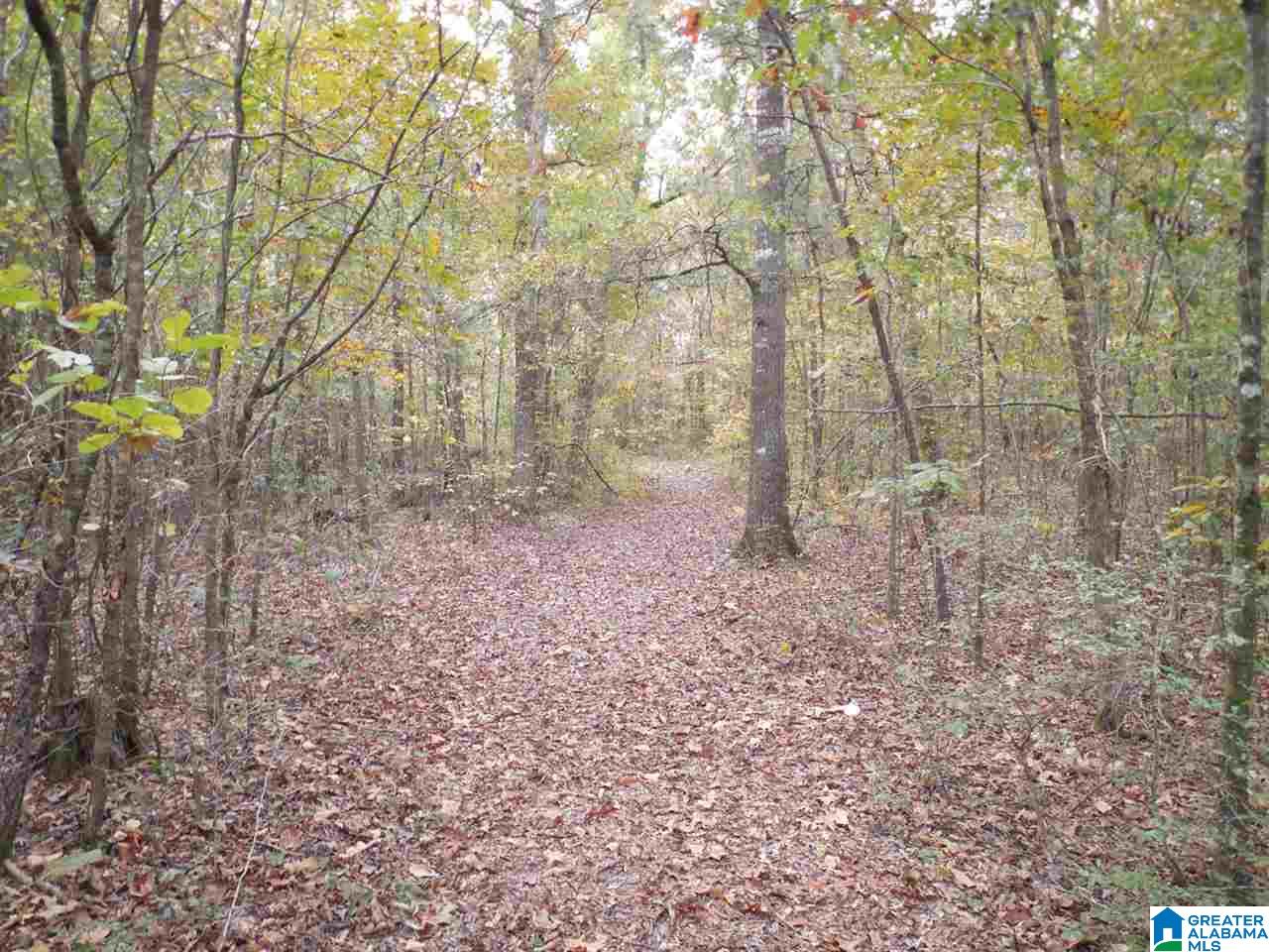 341 Happy Knoll Road Ashville, AL 35953 - Photo 47 of 47