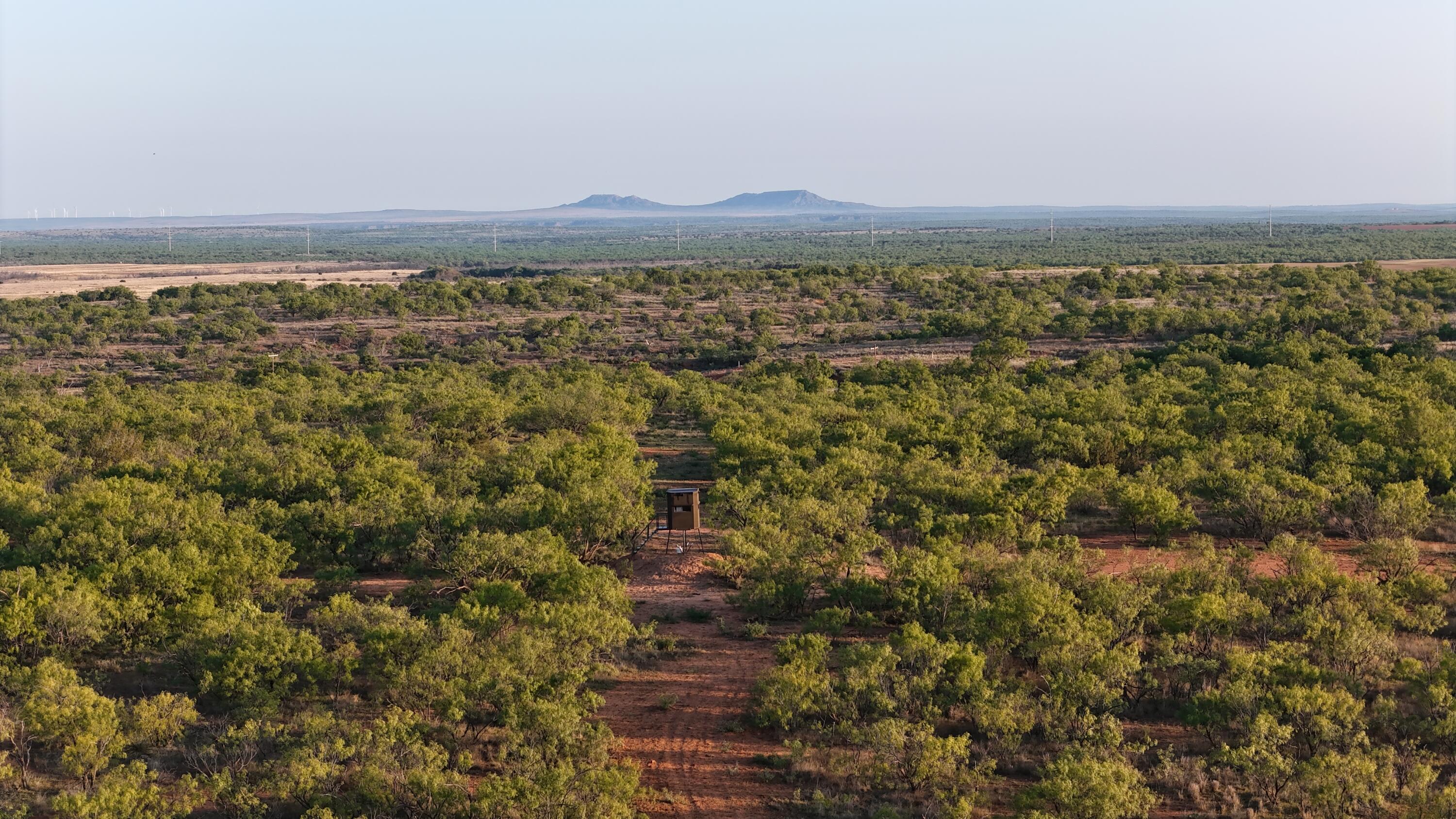 92 Texas Hamlin, TX 79520 - Photo 17 of 63 DJI_20260528072517_0094_D
