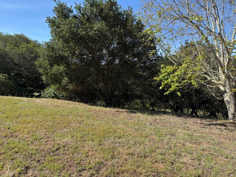 6443 Tustin Road Salinas, CA 93907 - Photo 10 of 34