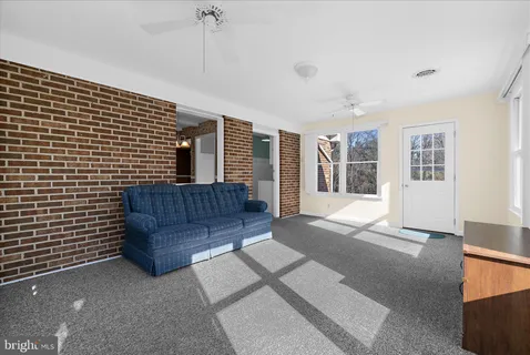 a view of a backyard with large trees