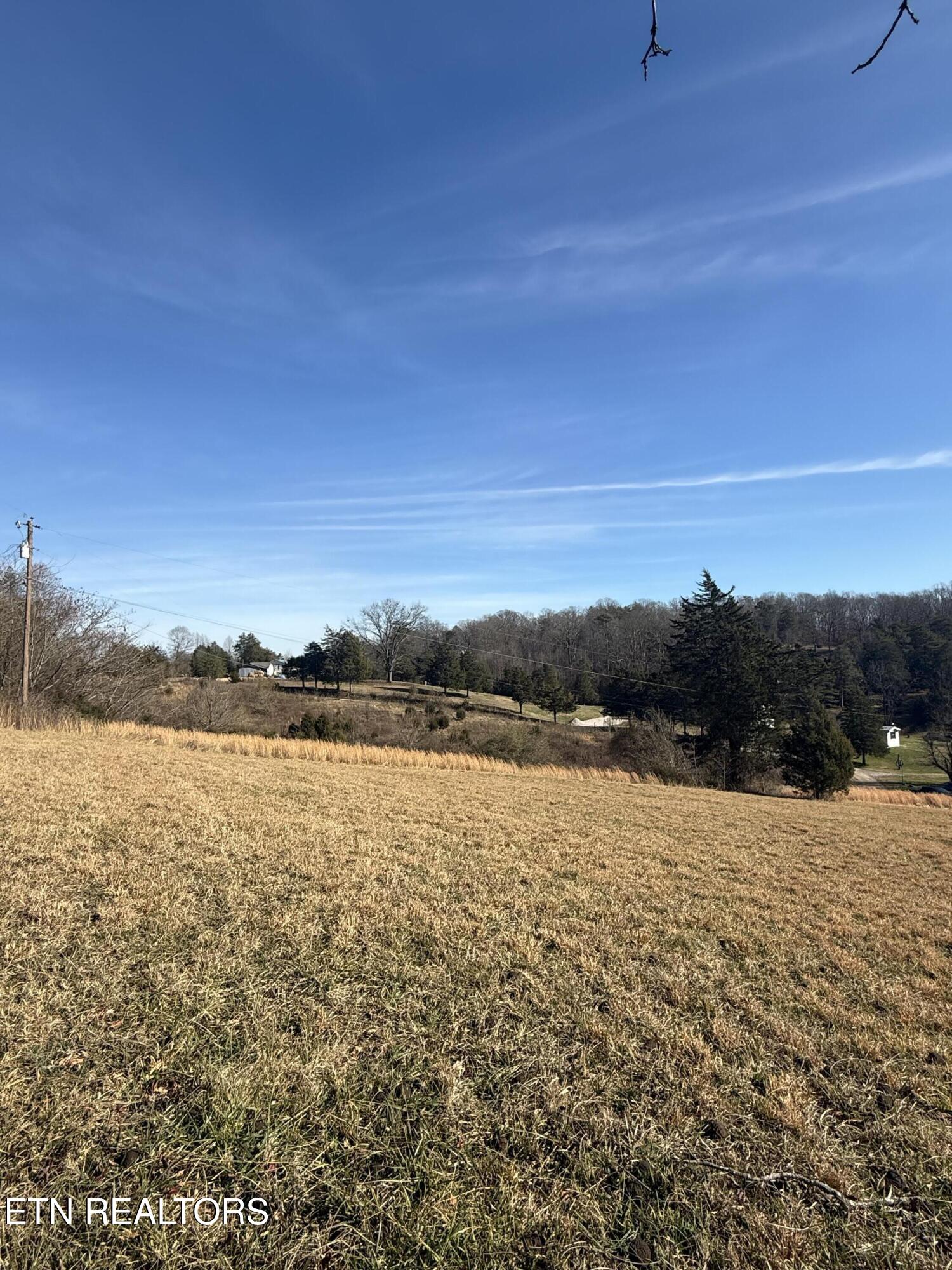 267 Chestnut Ridge Road Andersonville, TN 37705 - Photo 1 of 7 IMG_1660 (002)