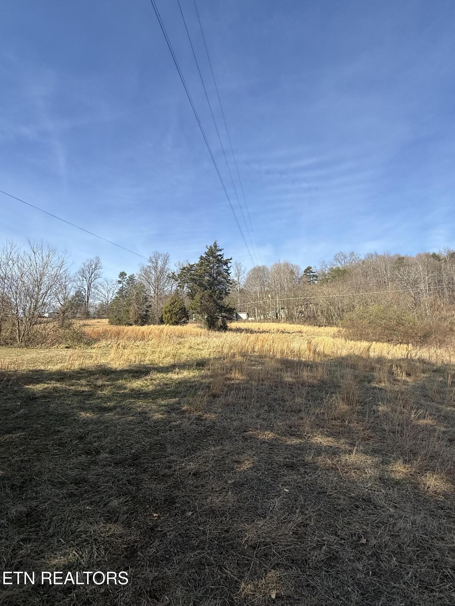 267 Chestnut Ridge Road Andersonville, TN 37705 - Photo 3 of 7 IMG_1663 (002)