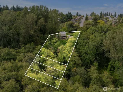 a view of a tennis ground with large trees