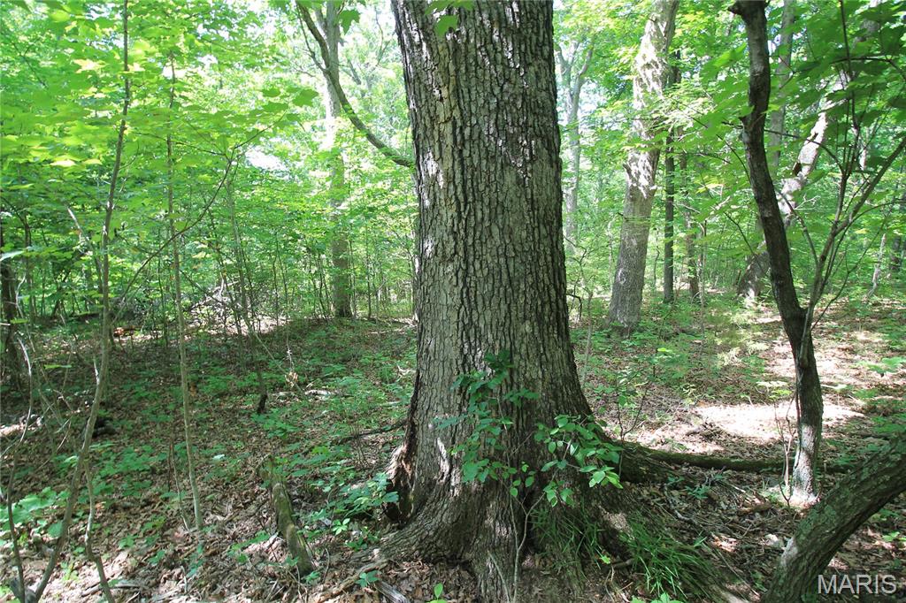 0 Gibson Road Lonedell, MO 63060 - Photo 13 of 28