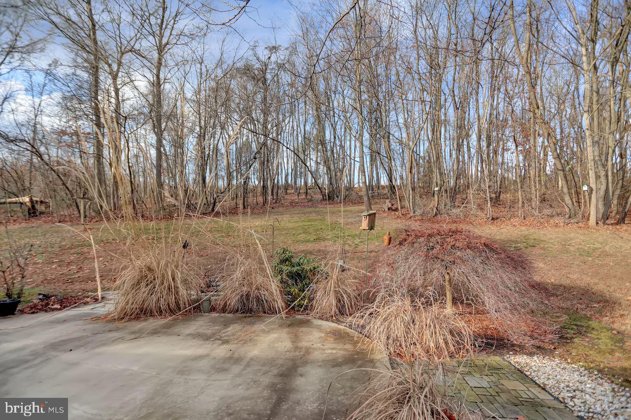 1354 Pisgah State Road Shermans Dale, PA 17090 - Photo 41 of 57