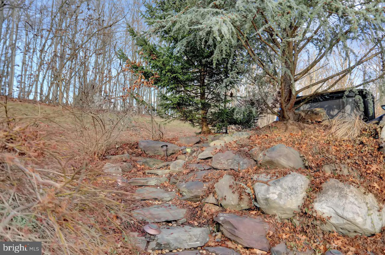 1354 Pisgah State Road Shermans Dale, PA 17090 - Photo 42 of 57