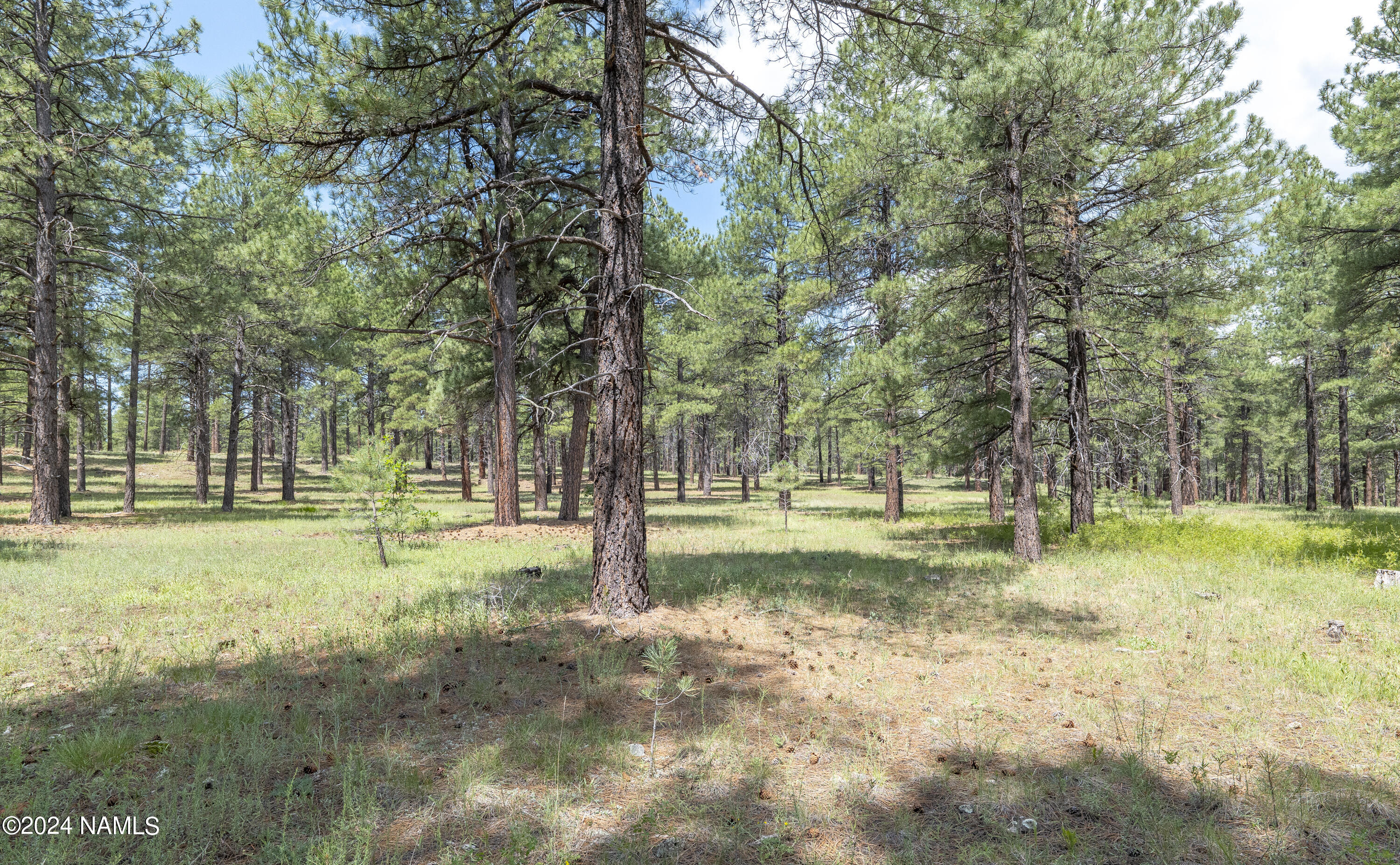 3120 Toho Trail Flagstaff, AZ 86005 - Photo 25 of 37 P1454420