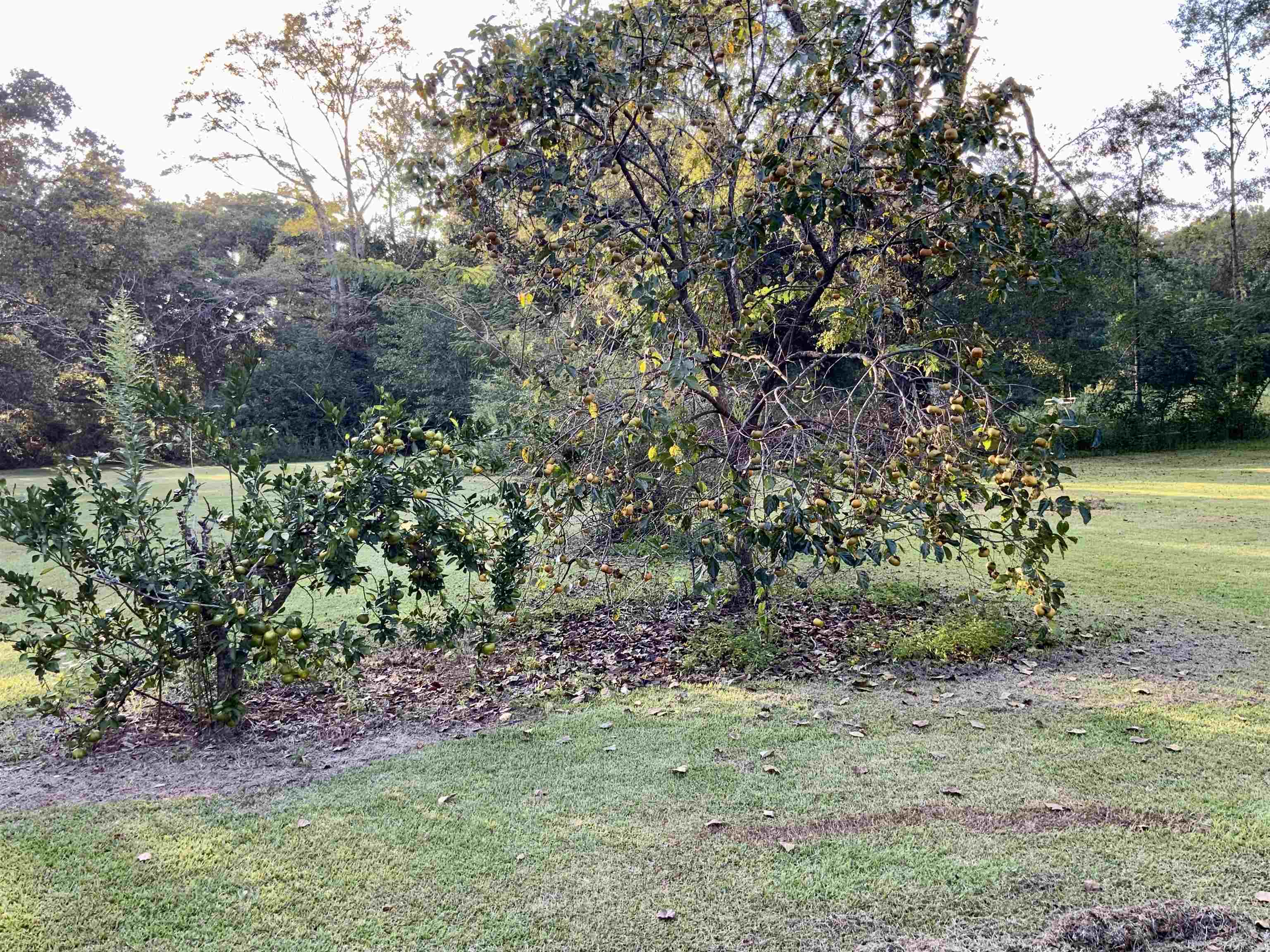16549 Pne Grv Rd Extension North Bay Minette, AL 36507 - Photo 22 of 34