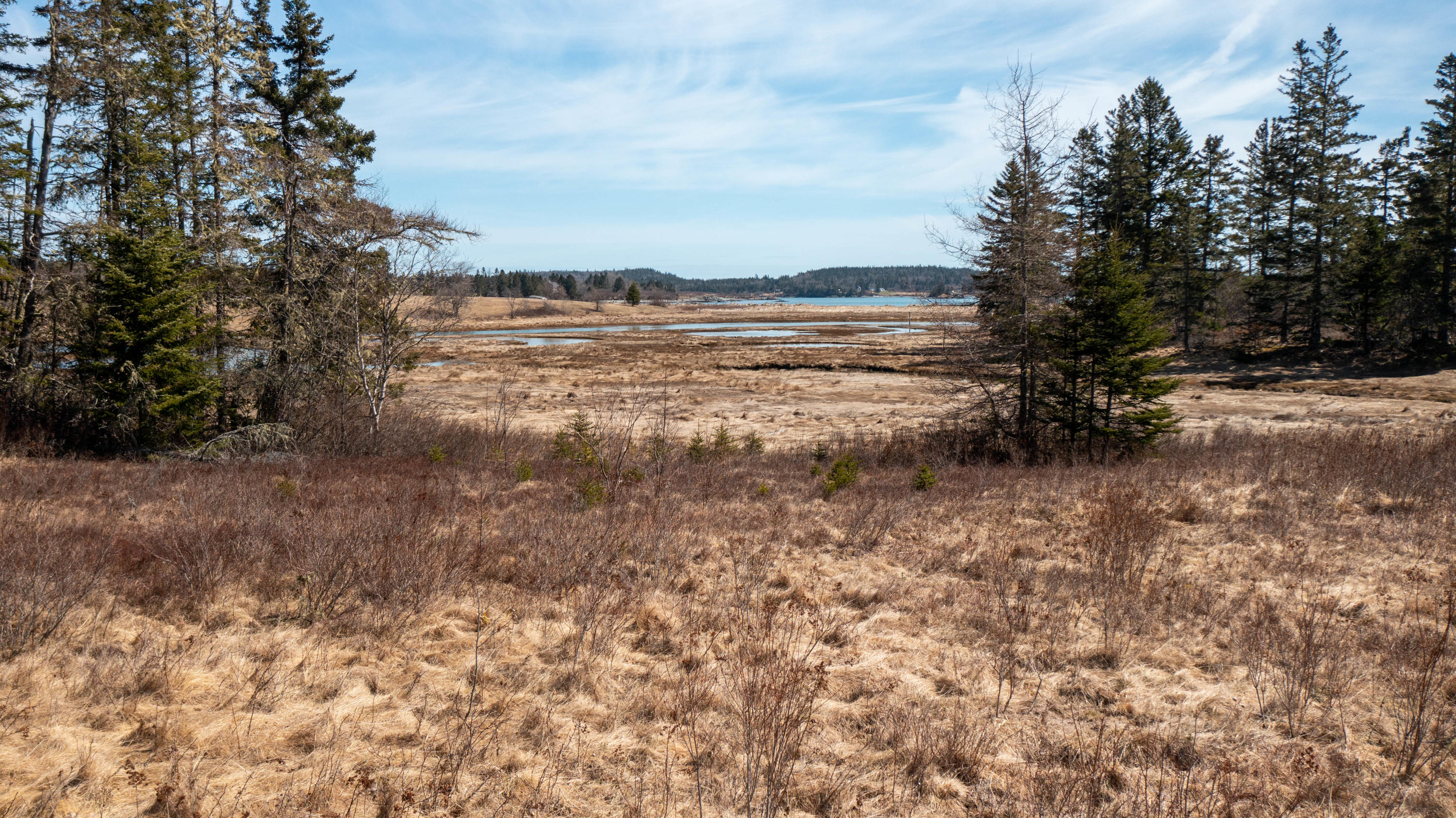 0 Smokehouse Road Lubec, ME 04652 - Photo 15 of 21 00 Smokehouse Rd. Trescotte Twp. Maine (