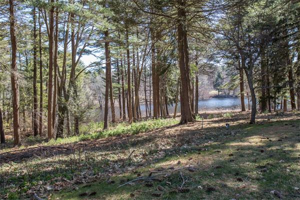 261 Grove Street Wellesley, MA 02482 - Photo 1 of 8 Gallery Image 1
