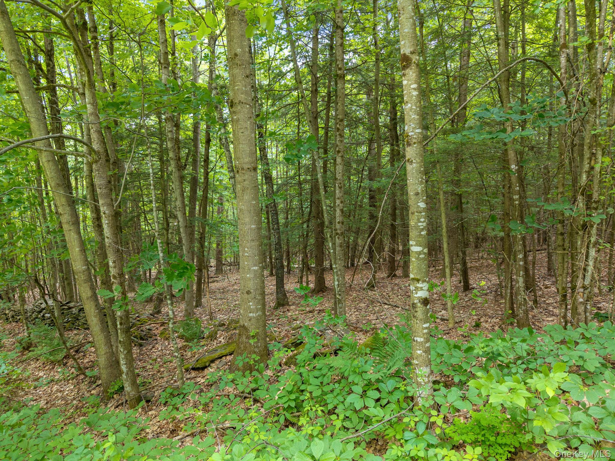 468 Treadlemire Road Berne, NY 12023 - Photo 41 of 44