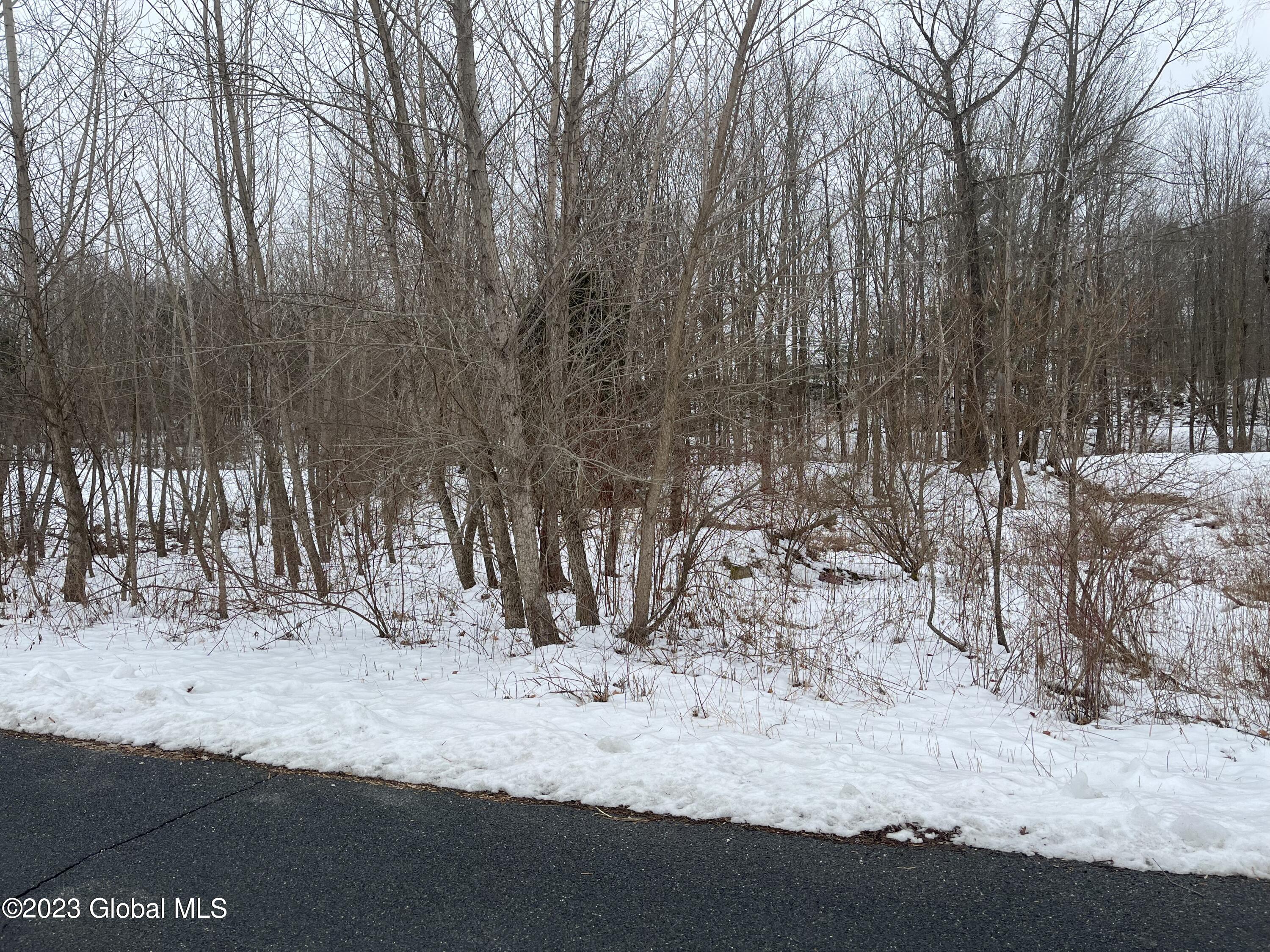 114 River Road Pittstown, NY 12094 - Photo 3 of 4 IMG-7634