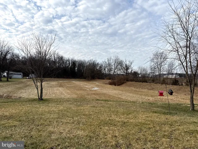 a view of a yard with a tree