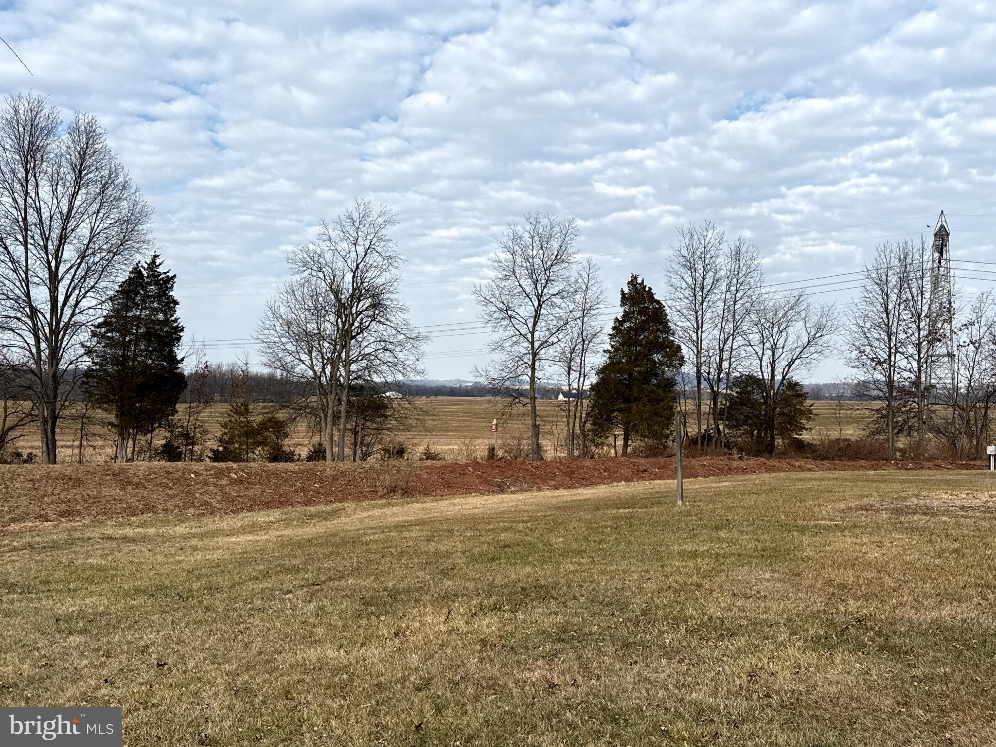 282 Michael Street Elizabethtown, PA 17022 - Photo 19 of 19 a backyard of a house with lots of green space