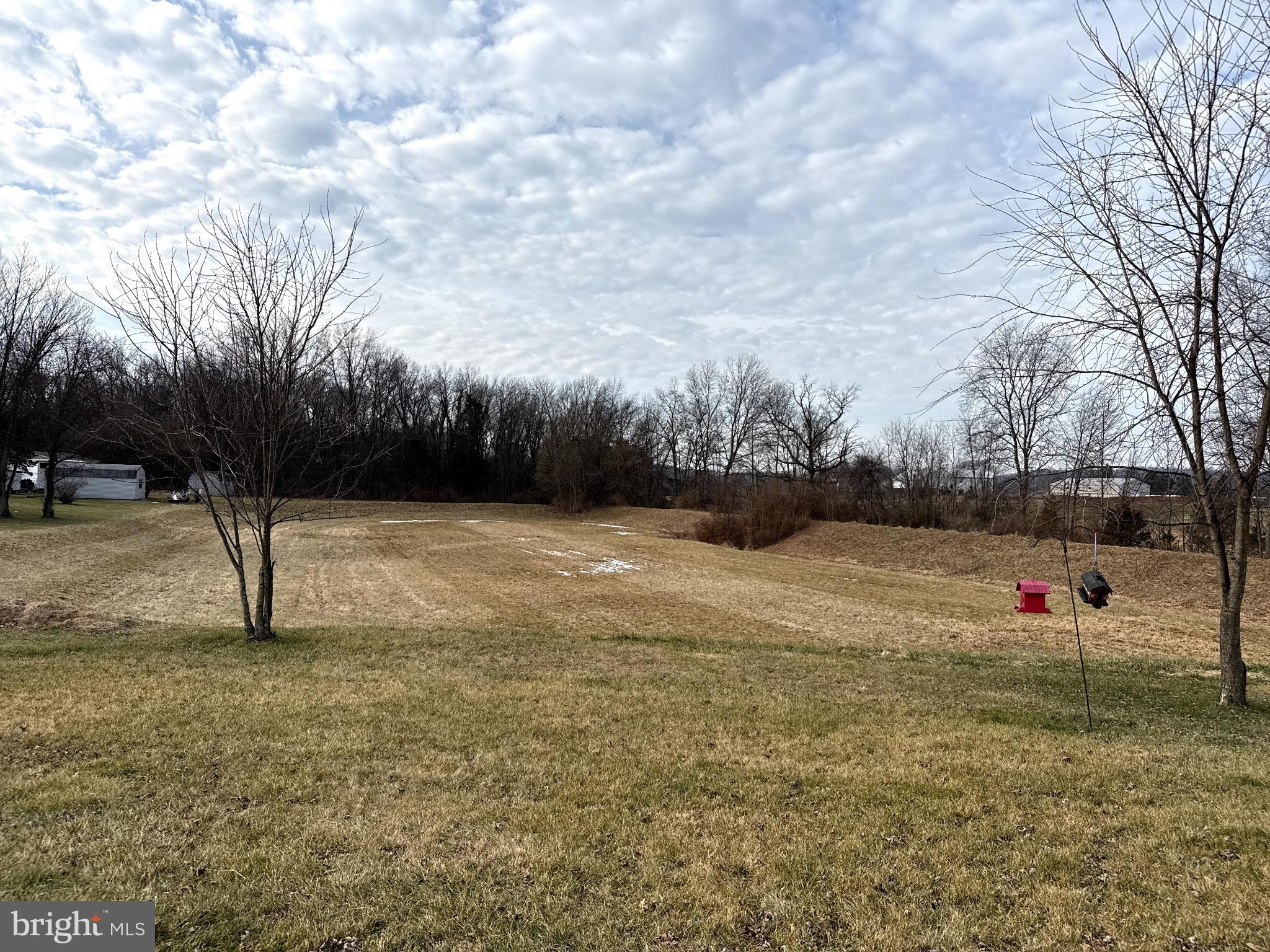 282 Michael Street Elizabethtown, PA 17022 - Photo 19 of 20 a view of a yard with a tree