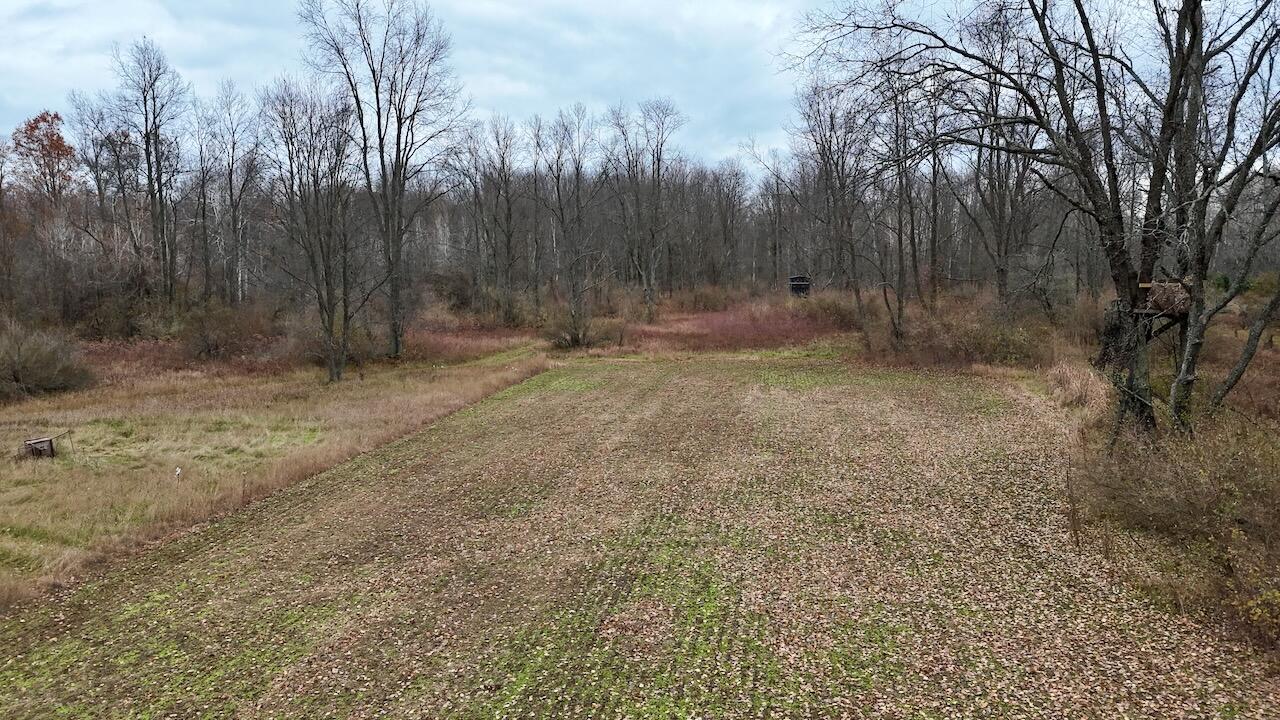 Hatton Road Farwell, MI 48622 - Photo 41 of 78 Gallery Image 41