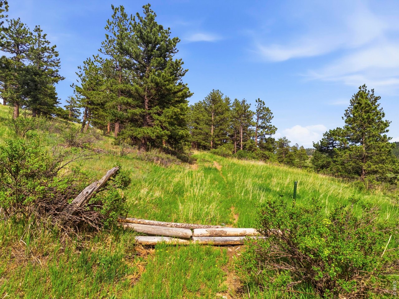 8238 Sugarloaf Road Boulder, CO 80302 - Photo 44 of 45 PRIVATE NATIONAL FOREST ACCESS