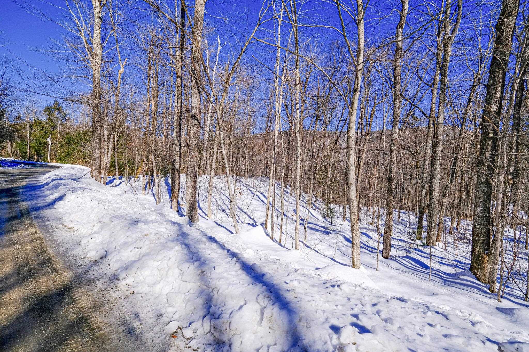 1-42 Soaring Hawk Road Plymouth, VT 05056 - Photo 19 of 25 Gallery Image 19