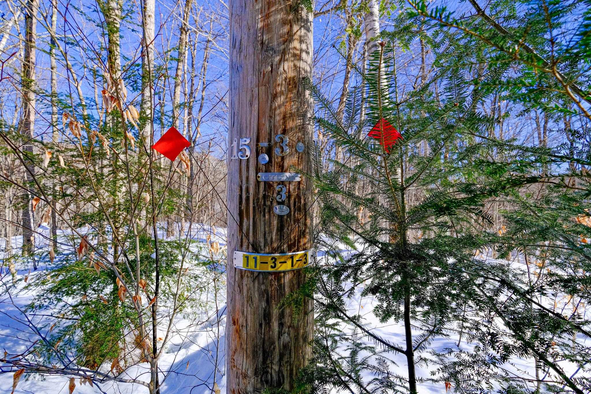 1-42 Soaring Hawk Road Plymouth, VT 05056 - Photo 20 of 25 Gallery Image 20