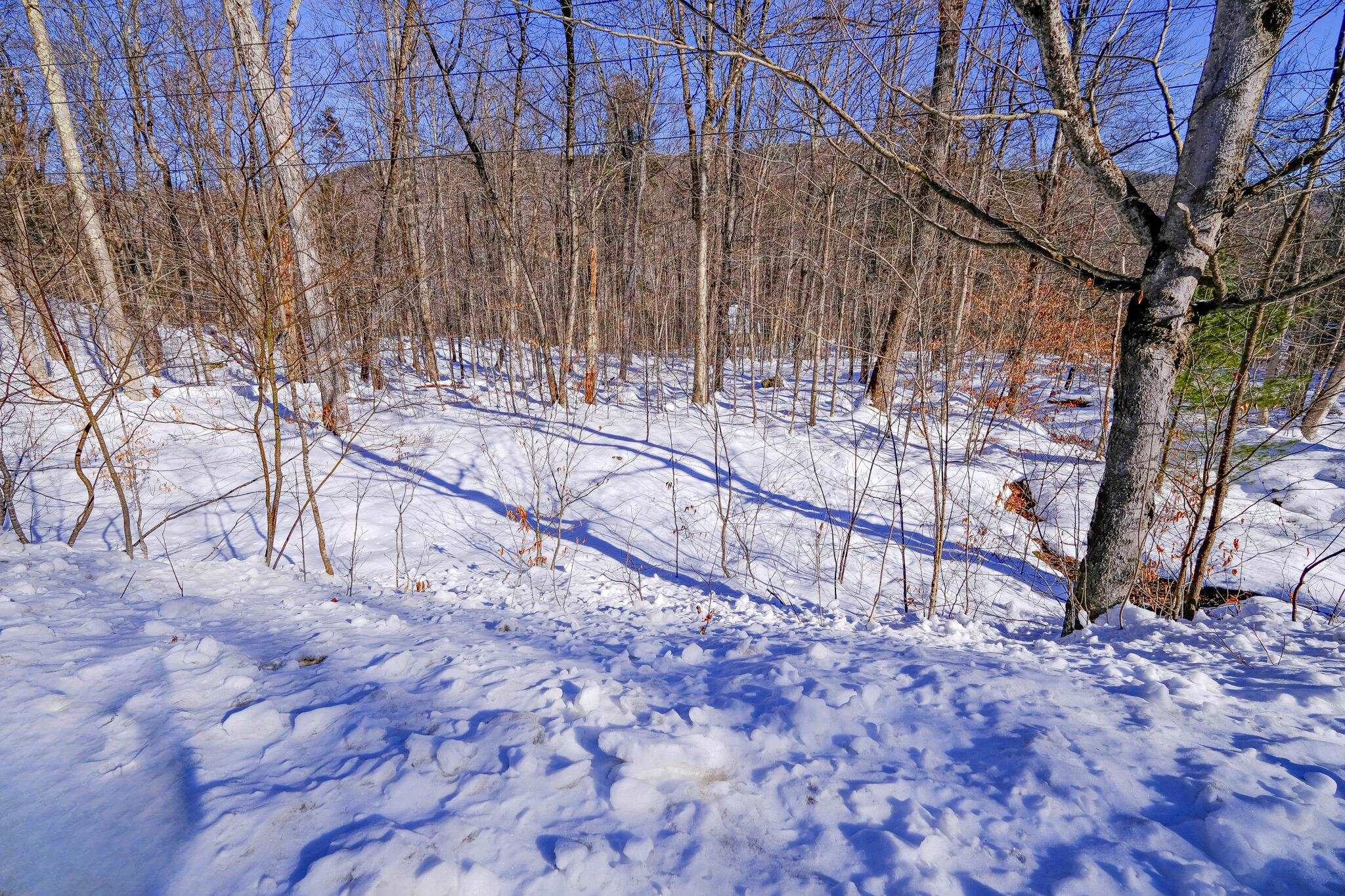 1-42 Soaring Hawk Road Plymouth, VT 05056 - Photo 2 of 25 Gallery Image 2