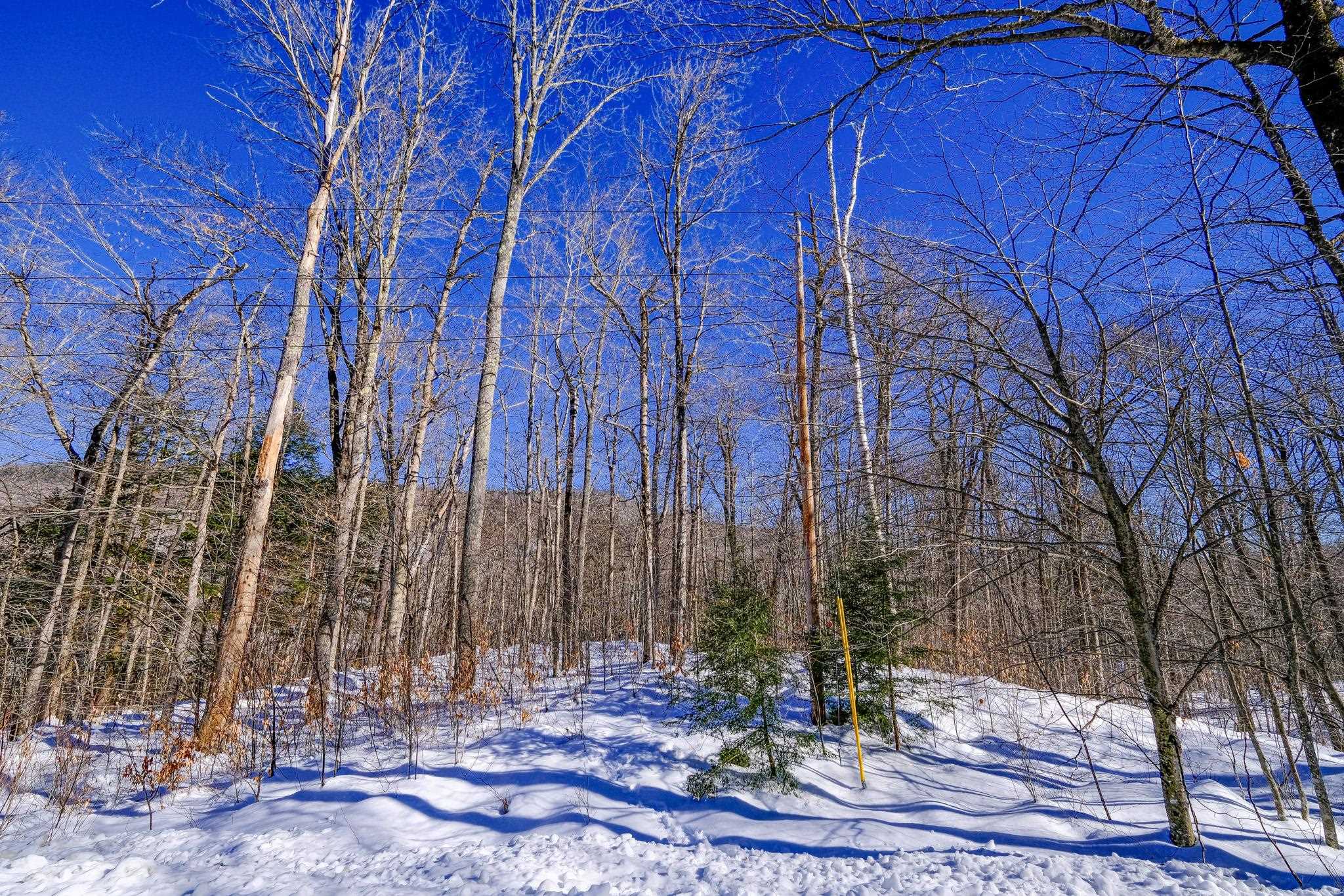 1-42 Soaring Hawk Road Plymouth, VT 05056 - Photo 22 of 25 Gallery Image 22