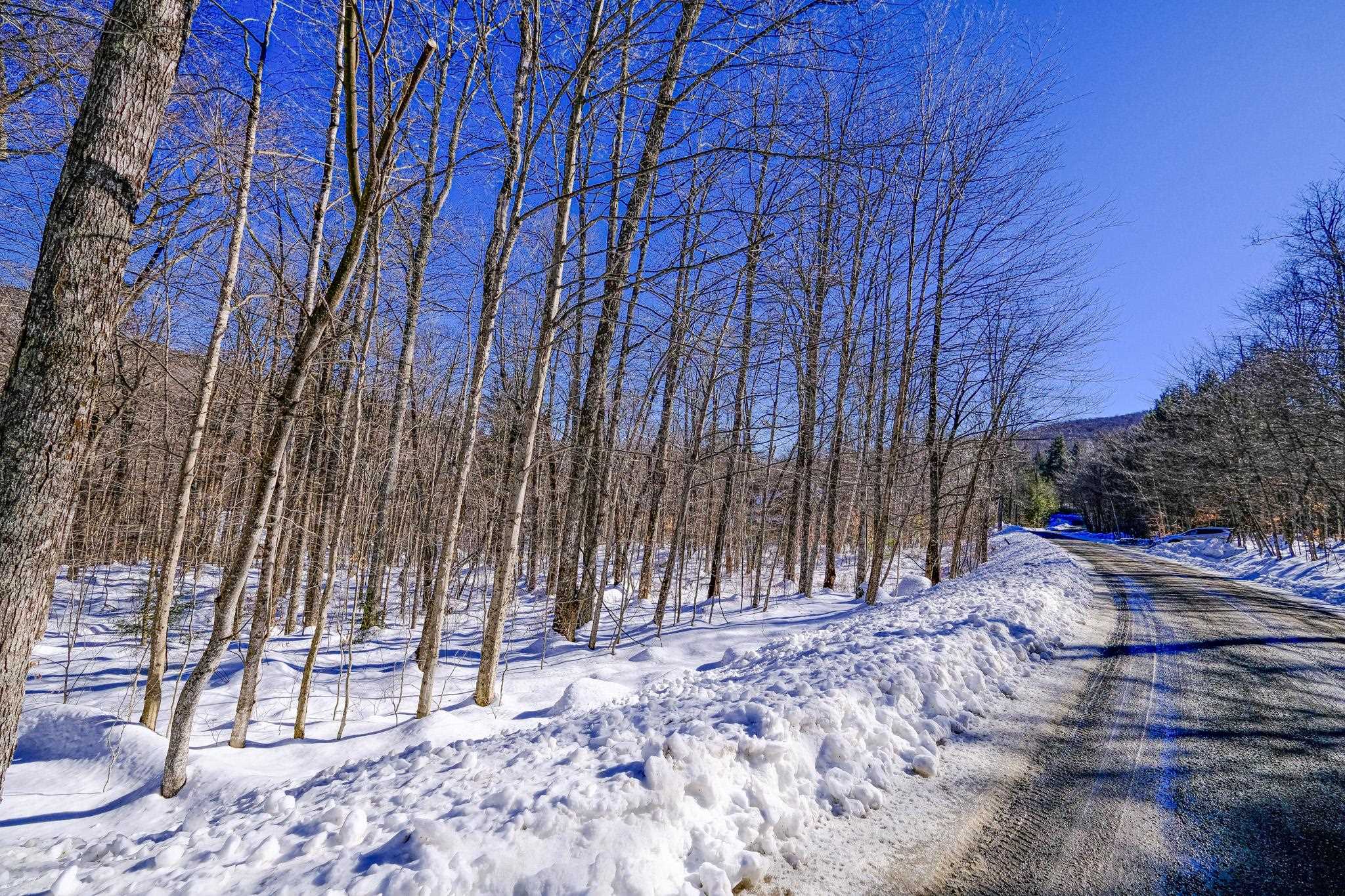1-42 Soaring Hawk Road Plymouth, VT 05056 - Photo 24 of 25 Gallery Image 24