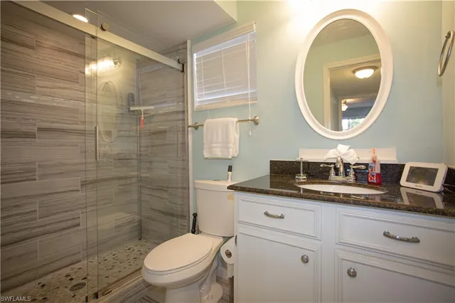 a bathroom with a toilet a sink and mirror