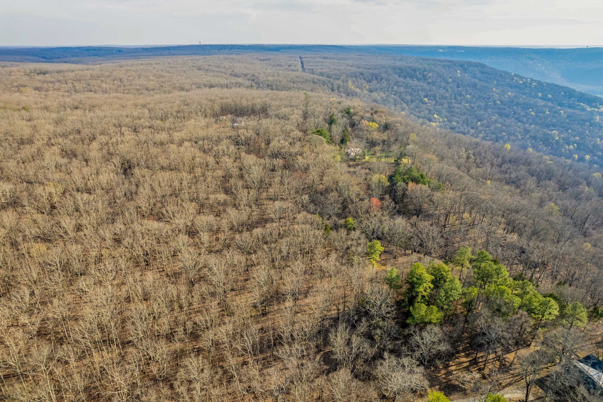 0 Claiborne View Road Sewanee, TN 37375 - Photo 22 of 23