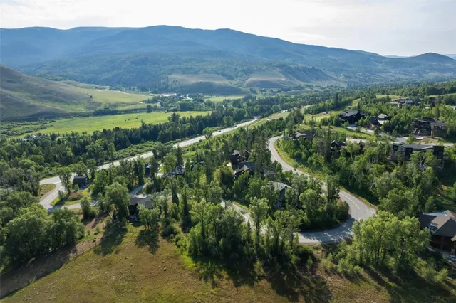 a view of a garden with a lake