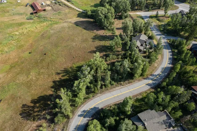 a view of a yard with plants