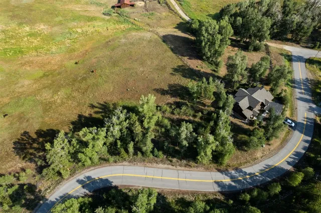 a view of a garden with an outdoor space