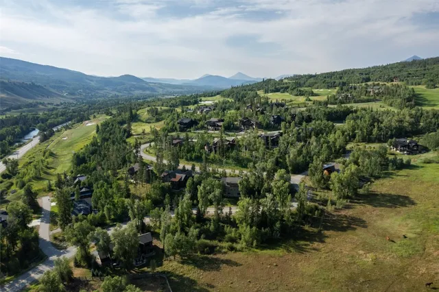 a view of a garden with plants