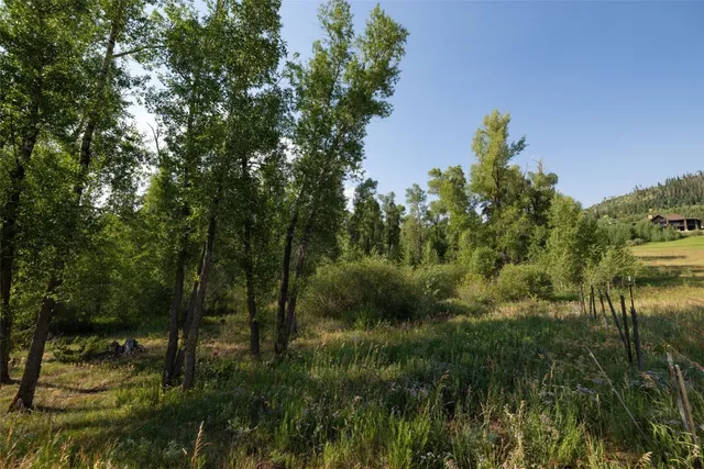 a view of a lake with a mountain in the background