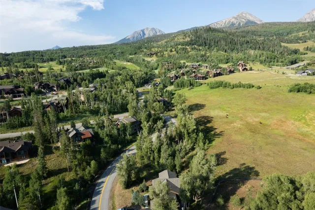 an aerial view of residential houses with outdoor space and trees