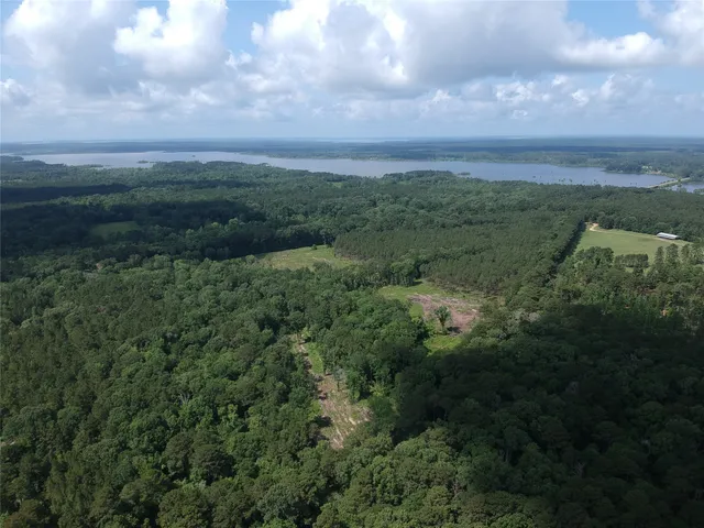 a view of a city with lush green forest