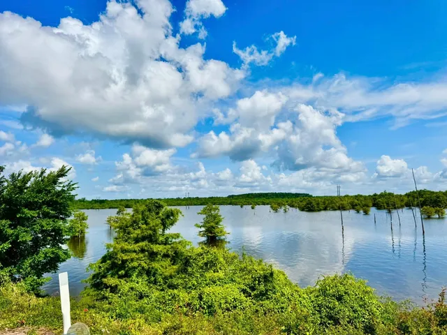 a view of a lake with houses in the back
