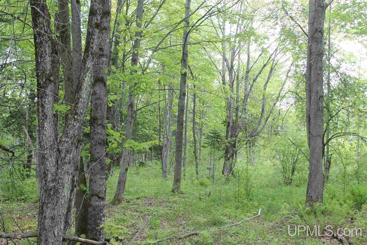 Tbd Off Kyllonen Road, Unit LAT 46 75685 LON 88 7526 Nisula, MI 49952 - Photo 17 of 24