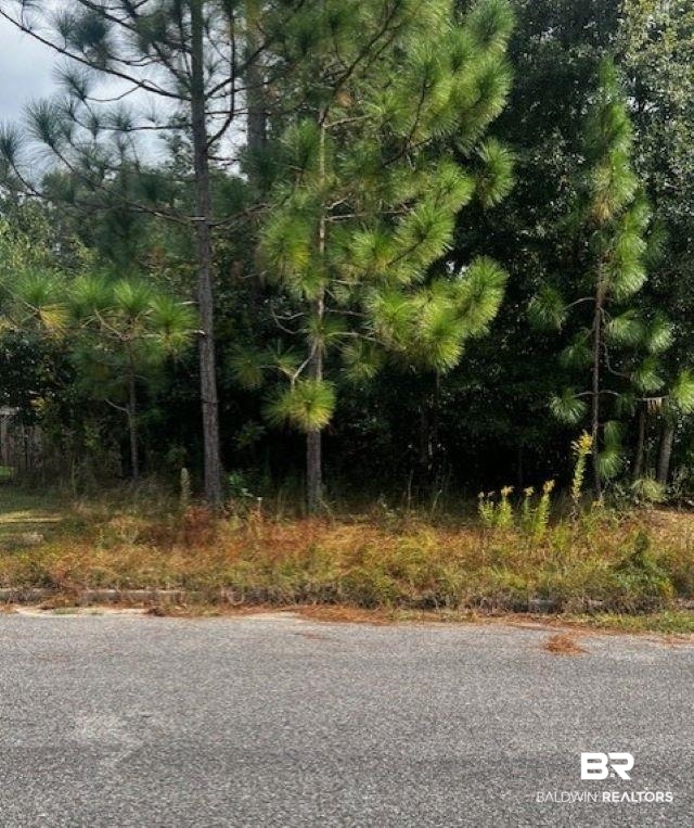 0 Oxbridge Way Mobile, AL 36695 - Photo 1 of 1 View of road