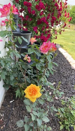 $529,000 | 627 M Highway, Odessa, MO 64076