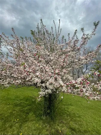 $529,000 | 627 M Highway, Odessa, MO 64076