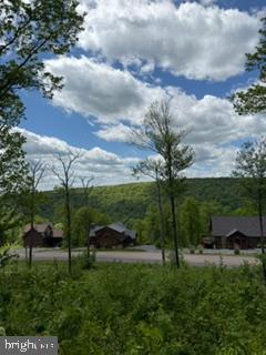 North Camp Road McHenry, MD 21541 - Photo 13 of 16